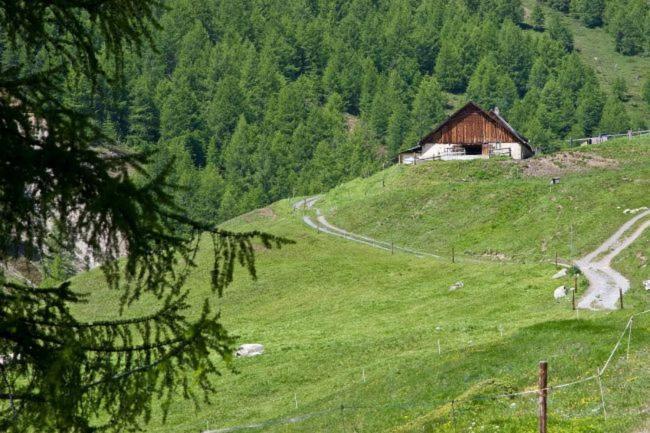 Bed and Breakfast Alp Es-Cha Dadour Madulain Екстер'єр фото