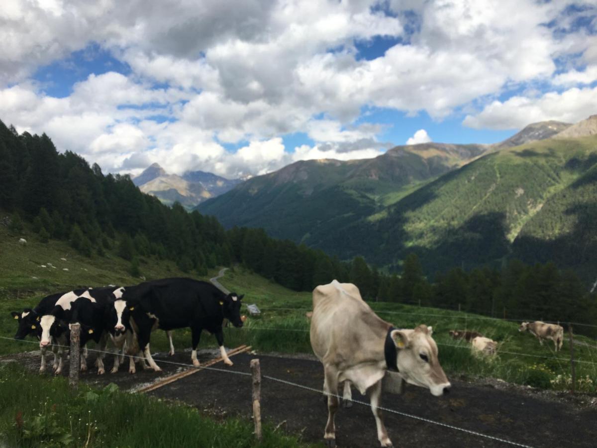Bed and Breakfast Alp Es-Cha Dadour Madulain Екстер'єр фото